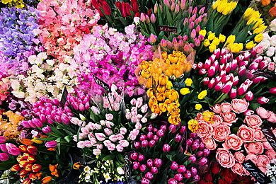 《第七境》高清中文版登陆Nintendo Switch 首发特价28港币